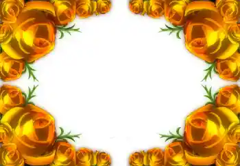 Photo effect from category Women's photo frames № 1782