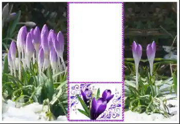 Photo effect from category Women's photo frames № 179360