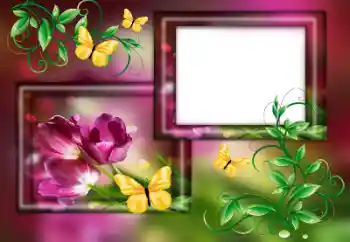 Photo effect from category Women's photo frames № 179563