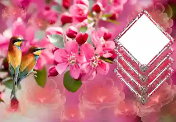 Photo effect from category Women's photo frames № 179565