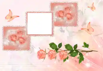 Photo effect from category Women's photo frames № 180707