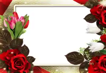 Photo effect from category Women's photo frames № 180712
