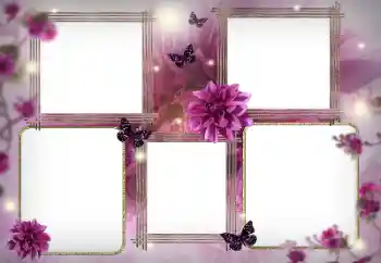 Photo effect from category Women's photo frames № 180757