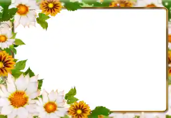 Photo effect from category Women's photo frames № 180831