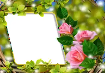 Photo effect from category Women's photo frames № 180860
