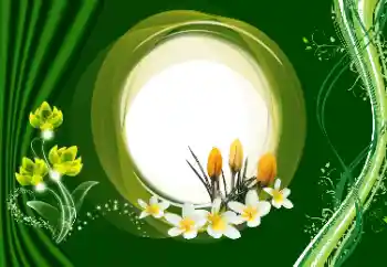 Photo effect from category Women's photo frames № 180910