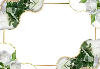 Photo effect from category Women's photo frames № 18185