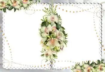 Photo effect from category Women's photo frames № 18187