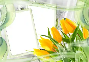 Photo effect from category Women's photo frames № 181968