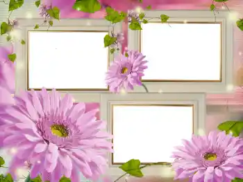 Photo effect from category Women's photo frames № 181986