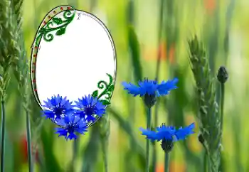 Photo effect from category Women's photo frames № 181991