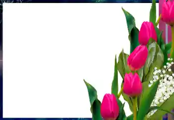 Photo effect from category Women's photo frames № 182017