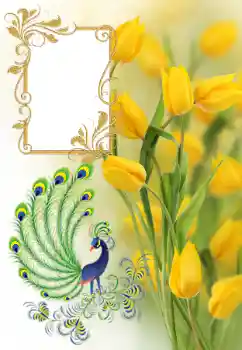 Photo effect from category Women's photo frames № 182161 Photo effect from category Women's photo frames № 182161