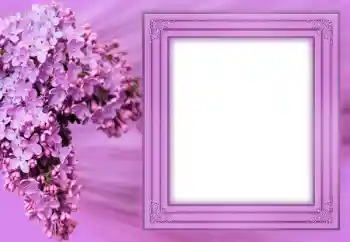 Photo effect from category Women's photo frames № 183304 Photo effect from category Women's photo frames № 183304