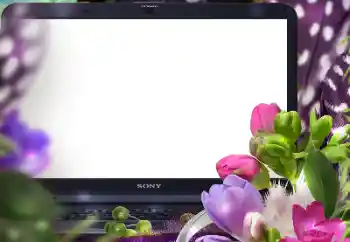 Photo effect from category Women's photo frames № 183389