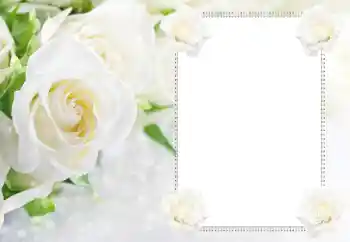 Photo effect from category Women's photo frames № 183434
