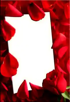 Photo effect from category Women's photo frames № 1843