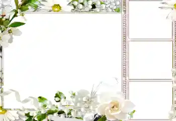 Photo effect from category Women's photo frames № 184586