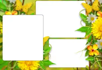 Photo effect from category Women's photo frames № 184587 Photo effect from category Women's photo frames № 184587