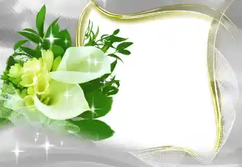 Photo effect from category Women's photo frames № 185965