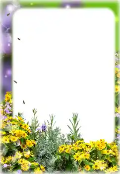 Photo effect from category Women's photo frames № 187069 Photo effect from category Women's photo frames № 187069