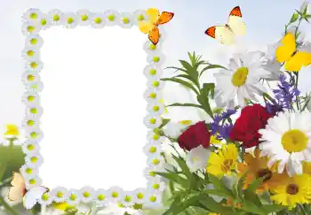 Photo effect from category Women's photo frames № 187