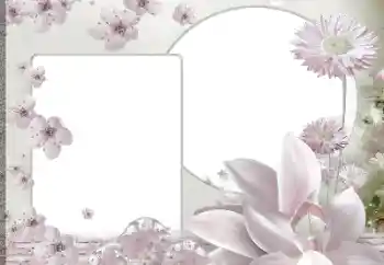 Photo effect from category Women's photo frames № 188139 Photo effect from category Women's photo frames № 188139