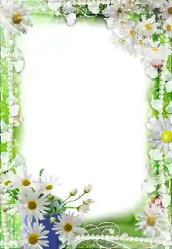 Photo effect from category Women's photo frames № 188140 Photo effect from category Women's photo frames № 188140