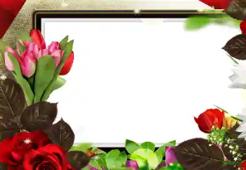 Photo effect from category Women's photo frames № 188224 Photo effect from category Women's photo frames № 188224