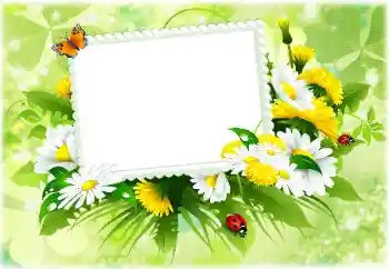 Photo effect from category Women's photo frames № 189302 Photo effect from category Women's photo frames № 189302