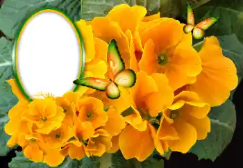 Photo effect from category Women's photo frames № 189369 Photo effect from category Women's photo frames № 189369