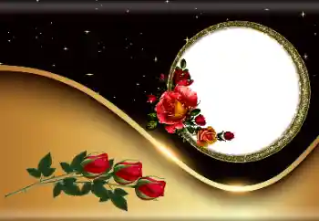 Photo effect from category Women's photo frames № 190527 Photo effect from category Women's photo frames № 190527