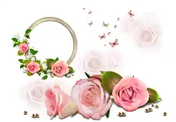 Photo effect from category Women's photo frames № 190616