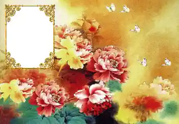 Photo effect from category Women's photo frames № 190617