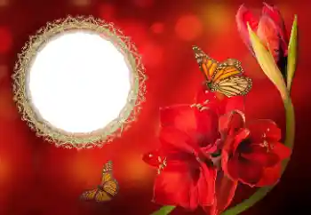 Photo effect from category Women's photo frames № 191699