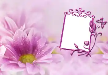 Photo effect from category Women's photo frames № 191747