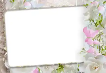 Photo effect from category Women's photo frames № 192942