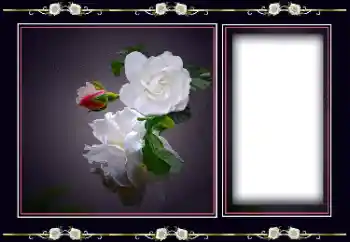Photo effect from category Women's photo frames № 194163