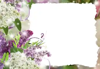 Photo effect from category Women's photo frames № 194234