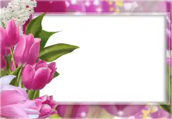 Photo effect from category Women's photo frames № 196363