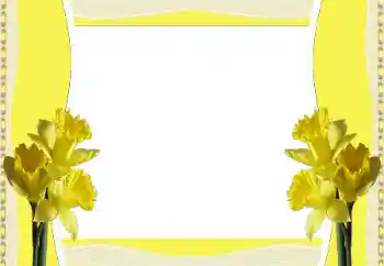 Photo effect from category Women's photo frames № 196380