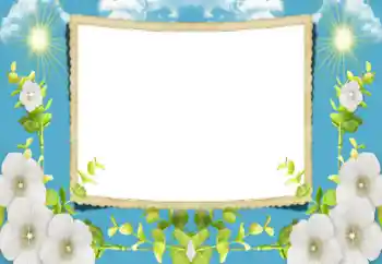 Photo effect from category Women's photo frames № 196590