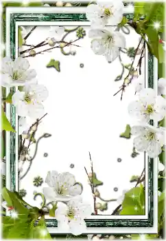 Photo effect from category Women's photo frames № 196595