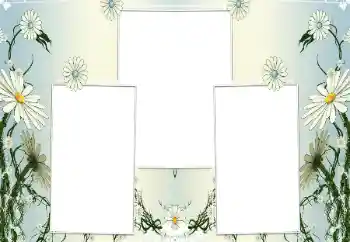 Photo effect from category Women's photo frames № 196602