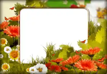 Photo effect from category Women's photo frames № 196615