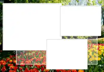 Photo effect from category Women's photo frames № 198891