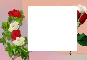 Photo effect from category Women's photo frames № 198906 Photo effect from category Women's photo frames № 198906