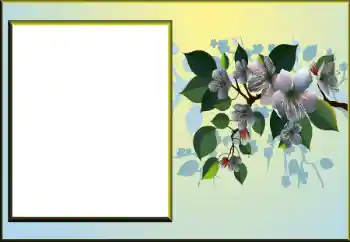 Photo effect from category Women's photo frames № 198924 Photo effect from category Women's photo frames № 198924