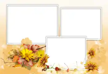 Photo effect from category Women's photo frames № 198975 Photo effect from category Women's photo frames № 198975