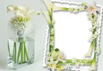 Photo effect from category Women's photo frames № 201117 Photo effect from category Women's photo frames № 201117